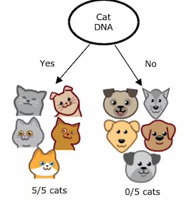 regression-example
